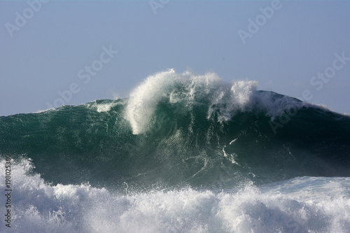 Hohe Welle fängt an sich zu brechen mit weißer Gischt.