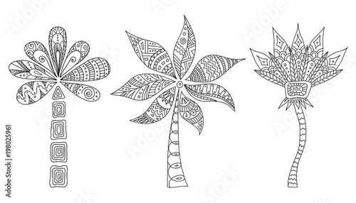 Set of doodle palms. Vector outline of trees. Tribal style. Zentangle.