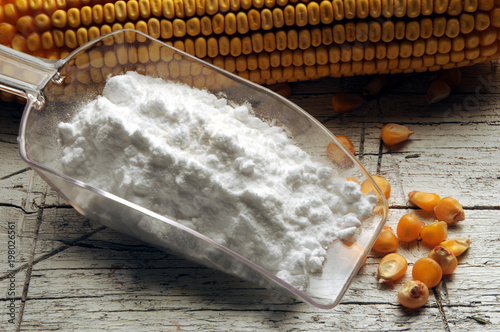 Fotografie Zea mays Majsstärkelse Maicena Amido di mais עמילן תירס Maizena Corn starch de m