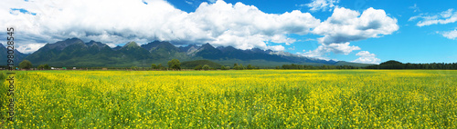Eastern Sayan Mountains and the blooming fields of Tunka valley. Beautiful panoramic landscape of flowering meadows of the foothill valley