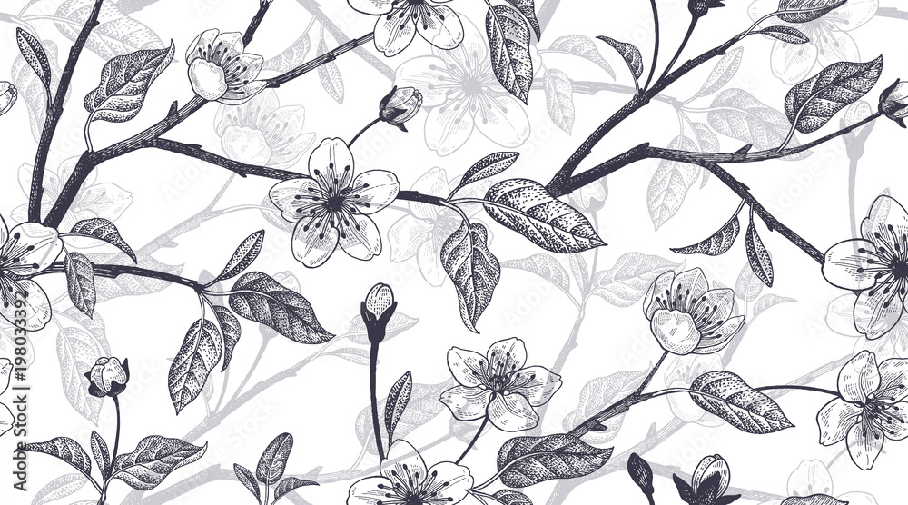 Fototapeta premium Floral vintage seamless pattern with Japanese cherry.