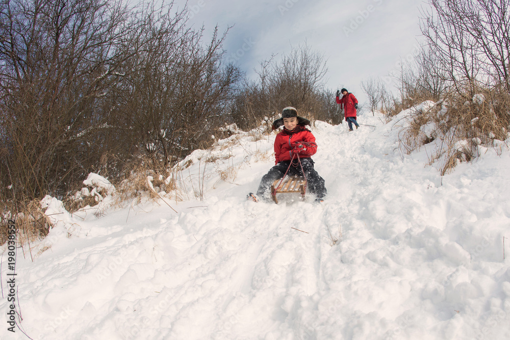 Children slide down hills on sleds
