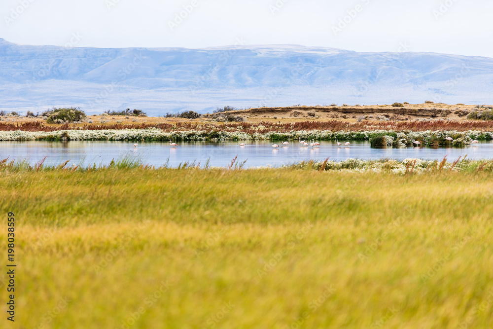 Fototapeta premium Landscape view in Laguna Nimez during golden hour, with flamingos in the back. Exotic colors, beautiful lake and mountain range in the background.