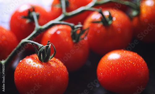 Branch with fresh cherry tomatoes. Ripe red tomatoes. © alexkich