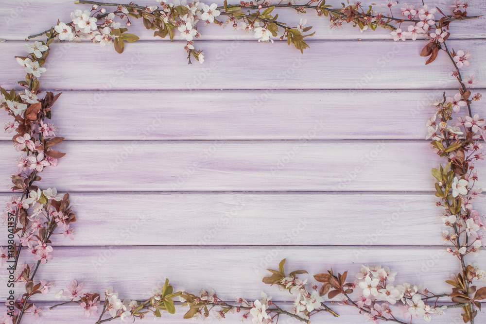 Spring pink/purple wooden background with blossom