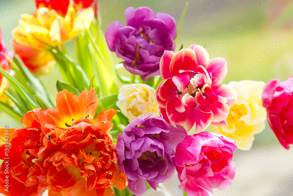 Blumenstrauß mit leuchtenden Tulpen
