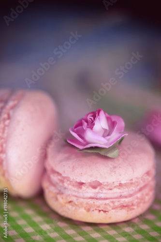 macaron rose,pâtisserie  © guy