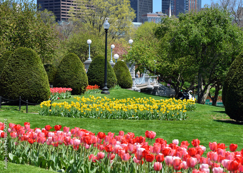 Spring Colors at Boston Public Garden
