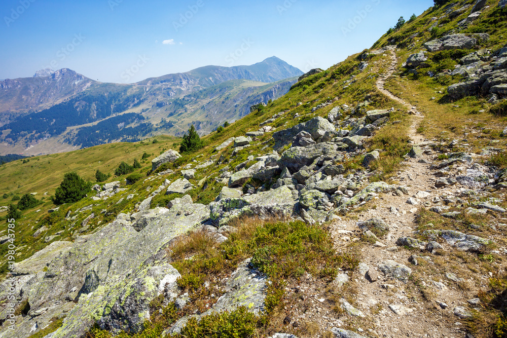 Fototapeta premium Narrow shepherd trail in the mountains 