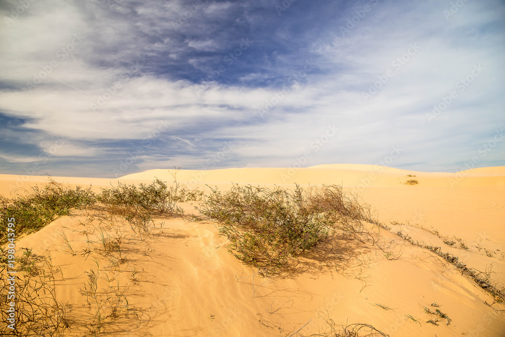 Wüstenlandschaft in Vietnam. Dünen mit Dünengraß. Wüstenlandschaft in Vietnam. Dünen mit Dünengraß.