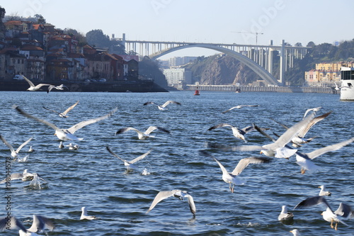 Obraz na płótnie Around Vila Nova de Gaia, Portugal