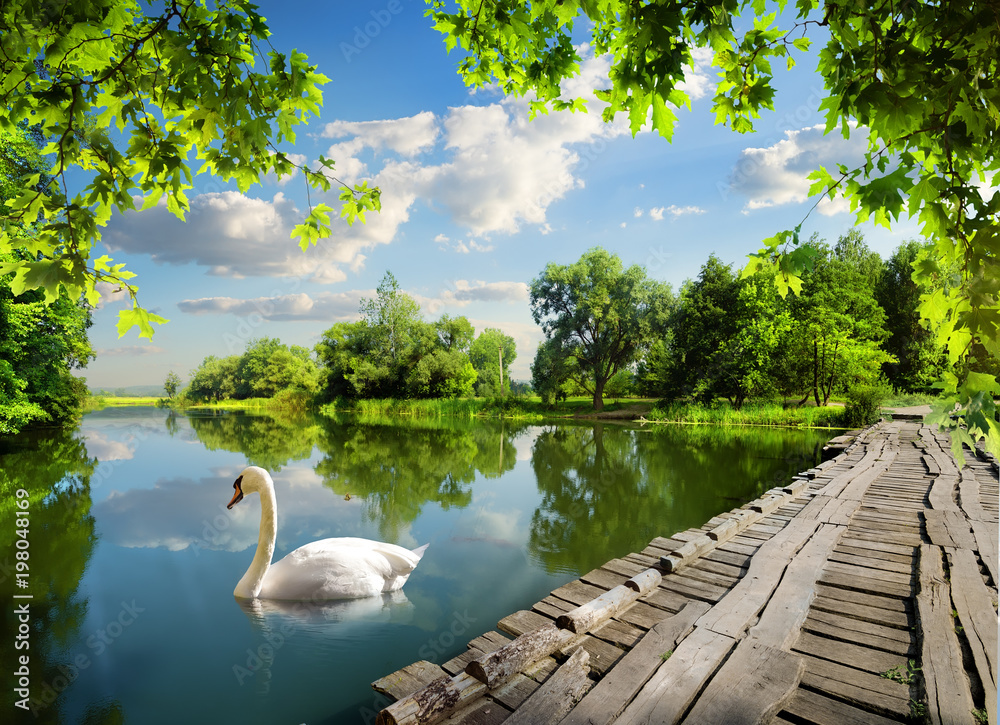 Bridge on the river