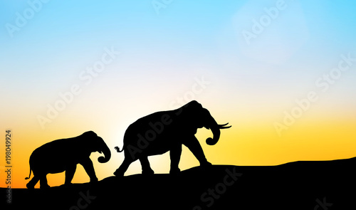silhouette elephants in the landscape