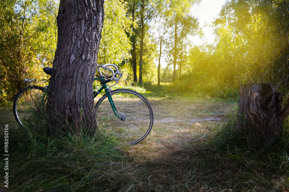 Old green sport bike in the forest Old green sport bike in the forest