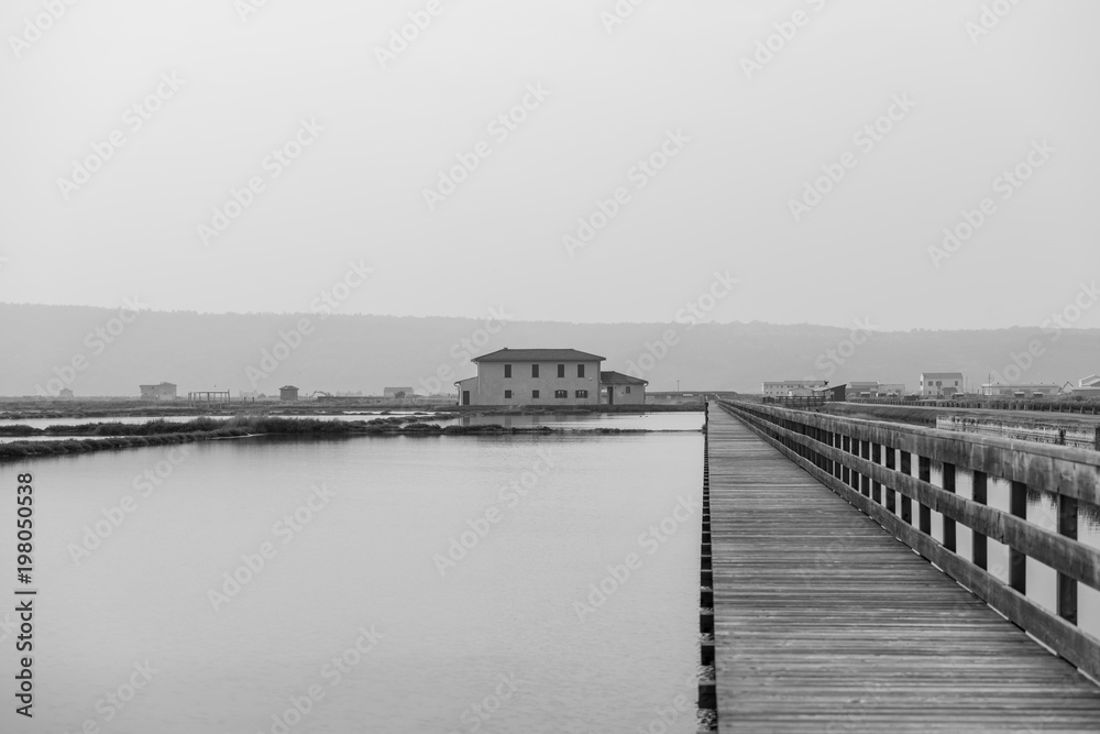 Obraz premium Greyscale image of Secovlje Salt Pans natural and culture heritage