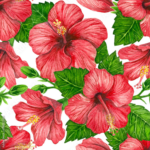 Seamless pattern with red hibiscus flowers painted with watercolors. Element for design.