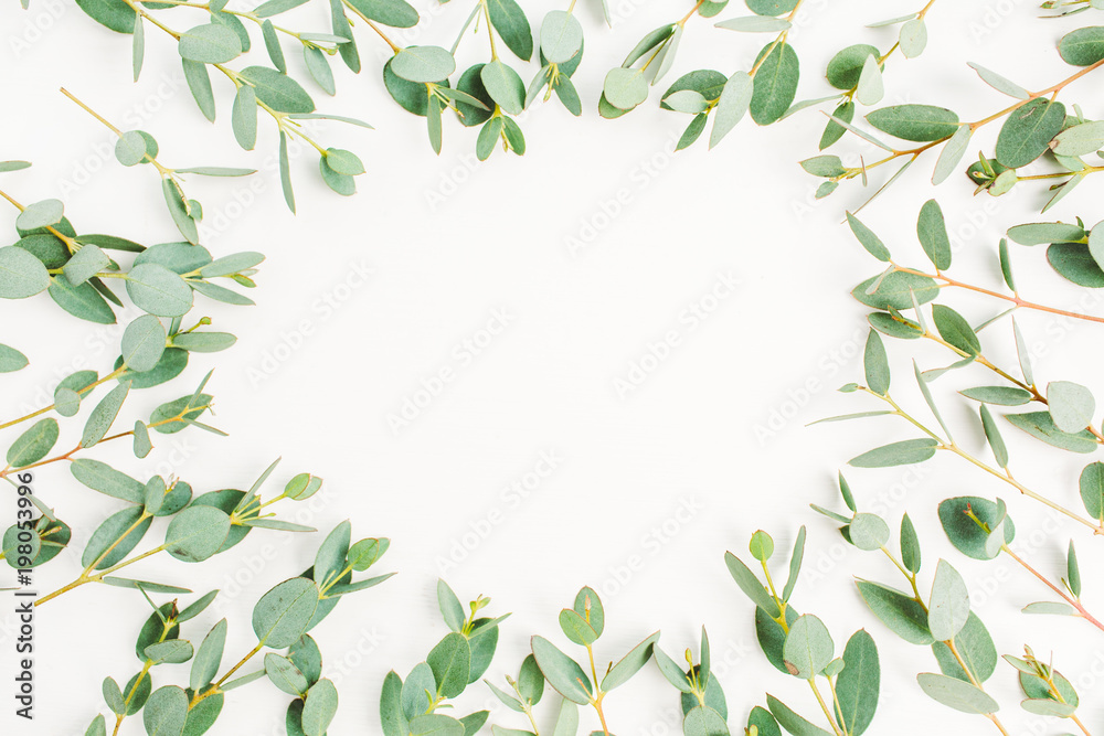 Frame of eucalyptus branch pattern with space for text on white background. Flat lay, top view hero header concept.