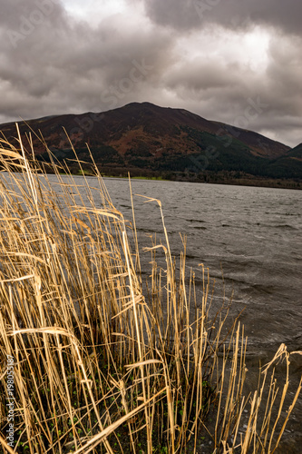 Overcast lakeside shrub view with red mountains behind