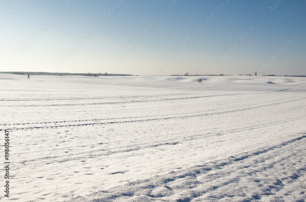  snowy field