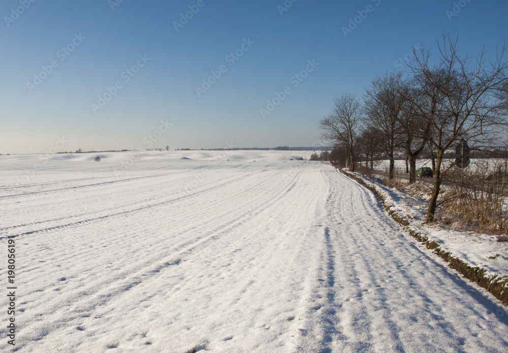  snowy field