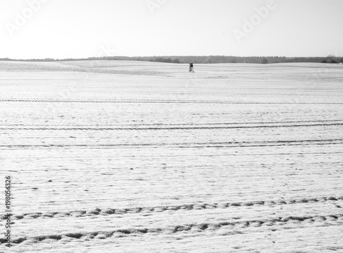  snowy field