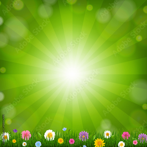 Grass With Sunburst Background