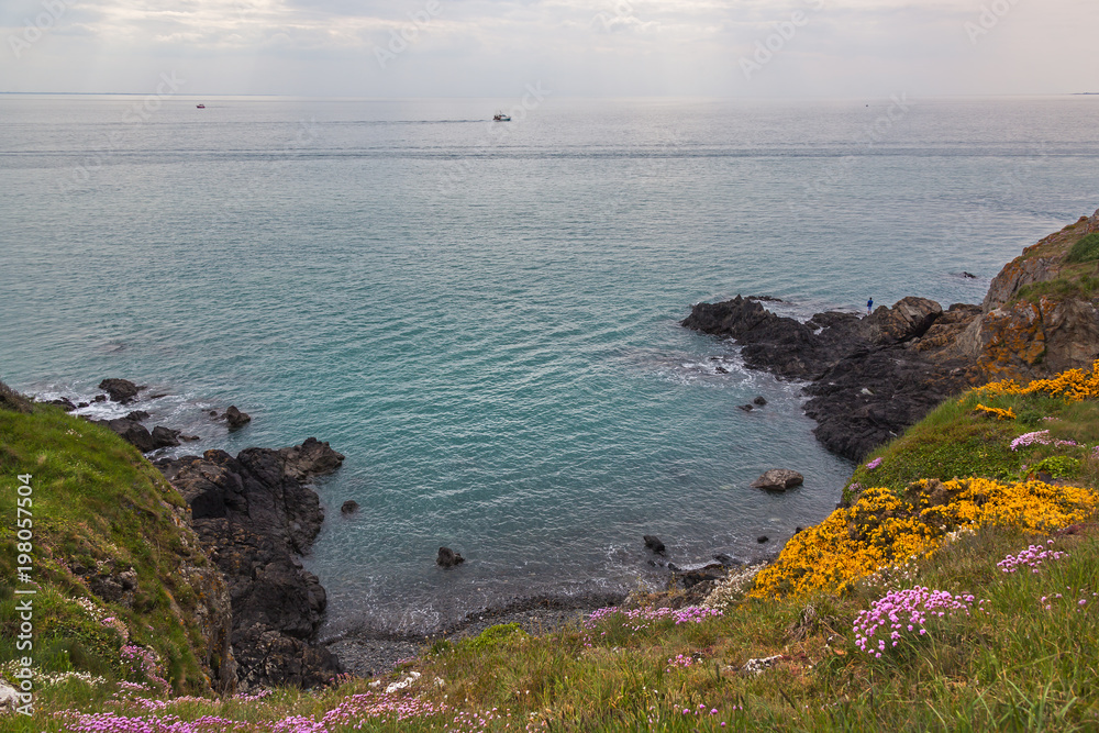 Spring Normandy seashore covered with bright early grass and colourful wildflowers changes to the vast blue Atlantic ocean Spring Normandy seashore covered with bright early grass and colourful wildflowers changes to the vast blue Atlantic ocean
