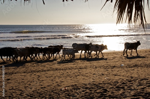 nicaragua nature
