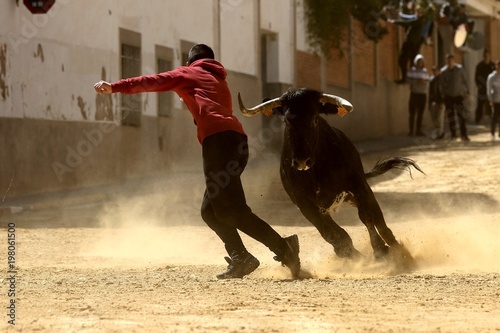 bull in spanish
