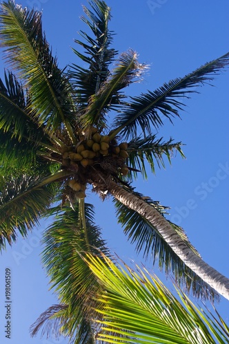 Corn Islands