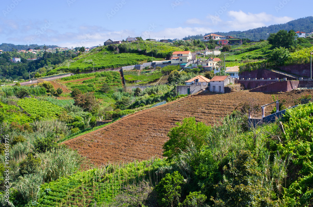Obraz premium Landscape near Sao Jorge, Madeira island, Portugal