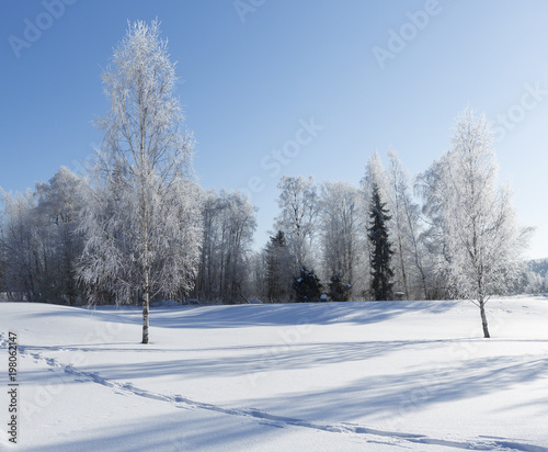 Beautiful winter wonderland wallpaper from Finland. Sunny and cold weather in Finland.