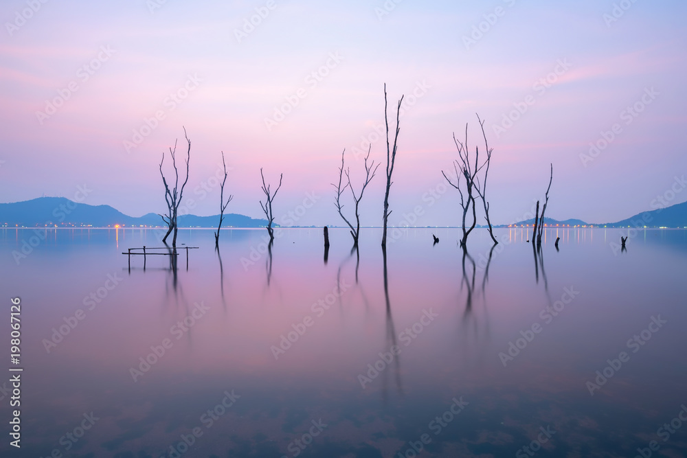 Fototapeta premium Twilight scenery of the perennial trees died in the water at the reservoir in Thailand.