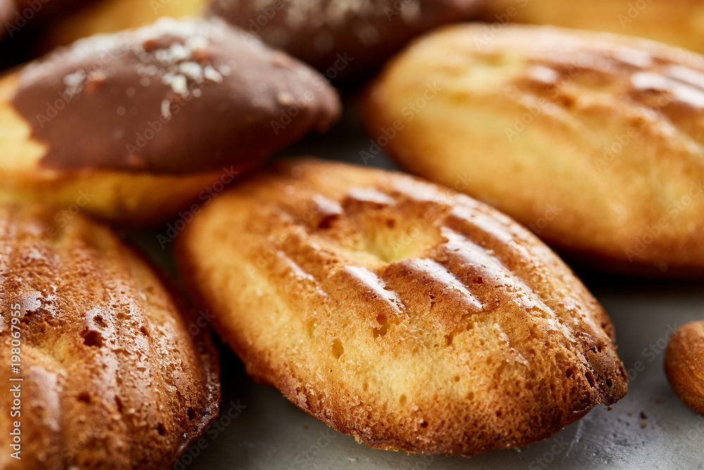 Tasty almond cookies arranged in the shape of fan on white background, close-up, selective focus Tasty almond cookies arranged in the shape of fan on white background, close-up, selective focus