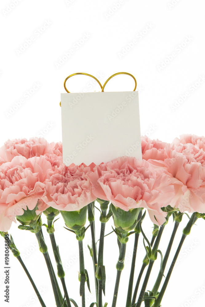 Happy Mother's Day, carnations representing mothers are in full bloom, and pink carnations are sent. Happy Mother's Day, carnations representing mothers are in full bloom, and pink carnations are sent.