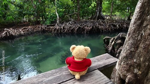 Teddy bear sitting on a bridge near the natural canal. The clear green stream flows through the mangrove forest root. In the midst of the shady and beautiful nature.
