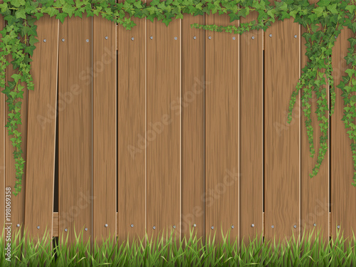 Ivy and grass on old wooden fence background. Fence made of vertical slats.