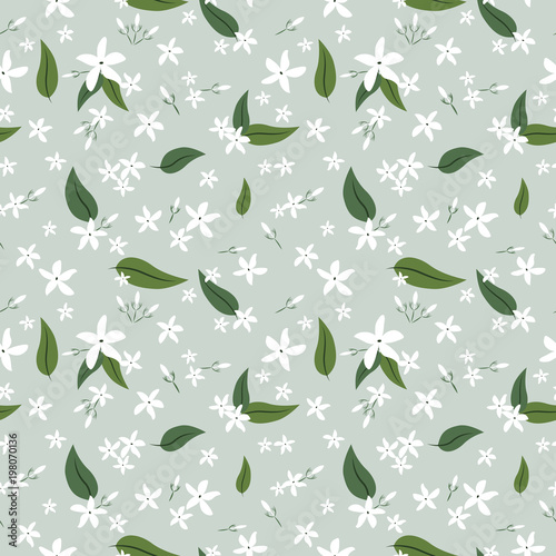 Jasmine flowers and leaves seamless pattern