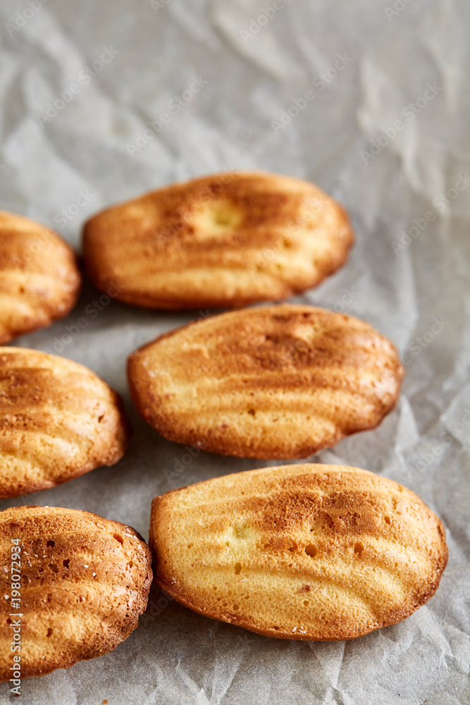 Sweet almond cookies put in rows on white paper background, close-up, selective focus