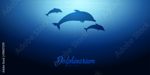 Underwater background with sun rays and silhouette of dolphin. Deep Ocean banner. Color vector illustration