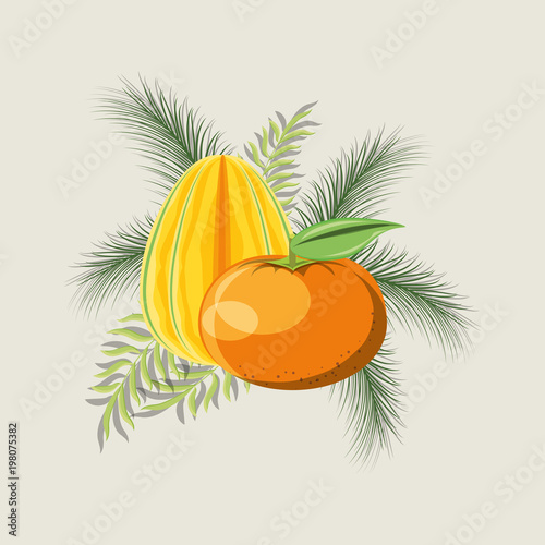 citric fruits design
