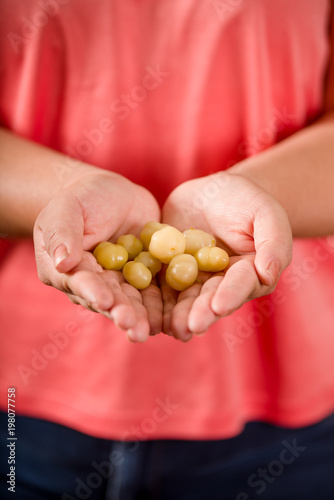 Close up of woman holding in both hands a star gooseberry fruit. Phyllanthus acidus, known as the Otaheite gooseberry, star, grosella, karamay