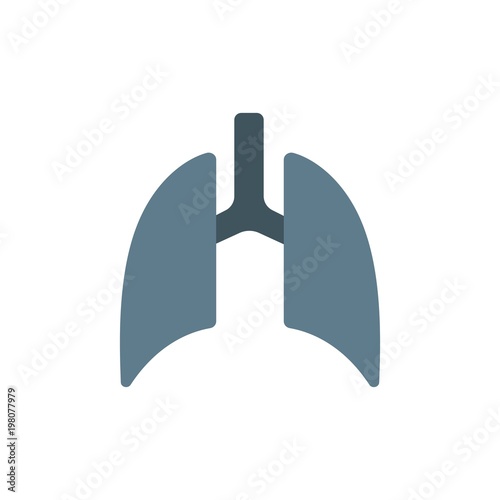 human lungs, breathing organ flat vector icon. Modern simple isolated sign. Pixel perfect vector  illustration for logo, website, mobile app and other designs