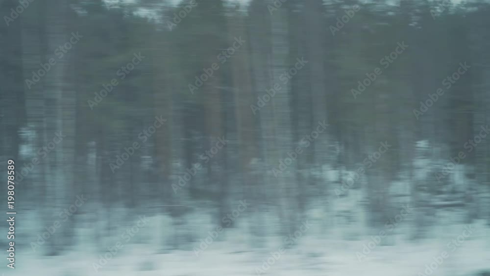 driving plate from window of a trane of winter forest driving plate from window of a trane of winter forest