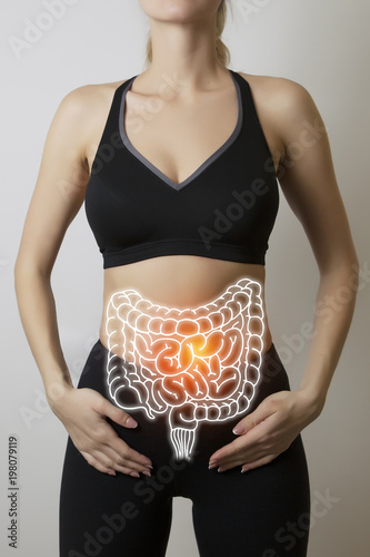 intestines visualisation on woman body closeup