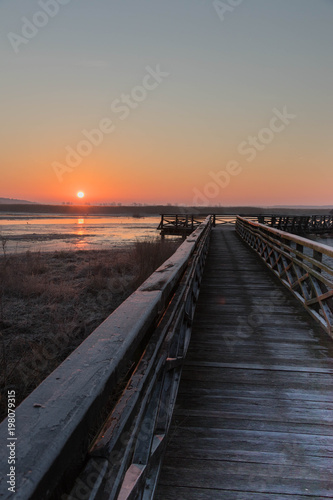 the sun rises red over marshlands and swamps and a wooden bridge with a railing and birds resting on the water and among the reeds
