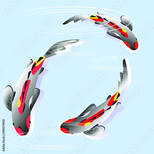 Set with fish, carp koi in water. Vector illustration, Cyprinus Carpio.