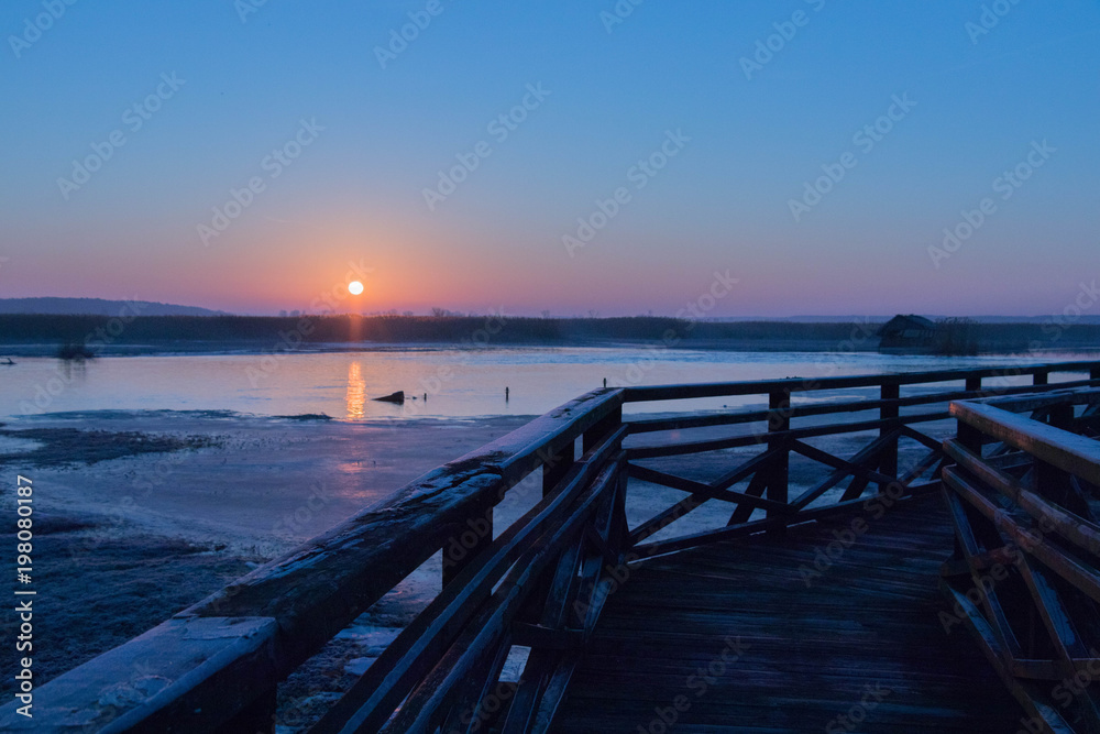 the sun rises red over marshlands and swamps and a wooden bridge with a railing and birds resting on the water and among the reeds the sun rises red over marshlands and swamps and a wooden bridge with a railing and birds resting on the water and among the reeds