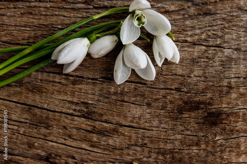 Fototapeta Naklejka Na Ścianę i Meble -  Bouquet of white snowdrops on rustic wooden background