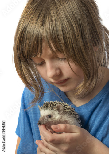 a happy litle girl with her pet African pygmy hedgehog